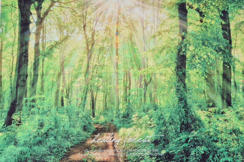 🧡풀옵션/영통/동탄 5번째 이미지