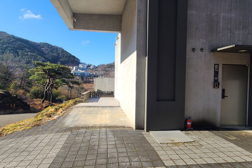 유숲자엘P 1번째 이미지