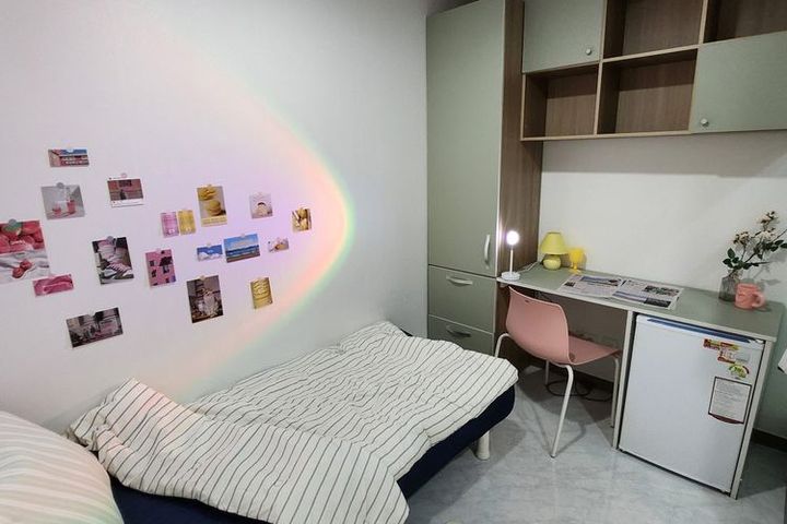 Standard2 0번째 이미지