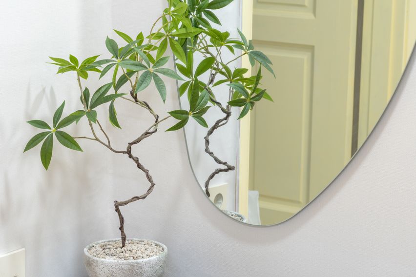 🍀 제기동 단독최대5인 12번째 이미지