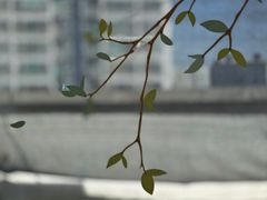 수원대 원룸텔529 9번째 이미지