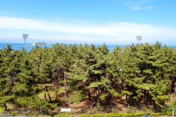 Sokcho Beach Ocean View 0th image