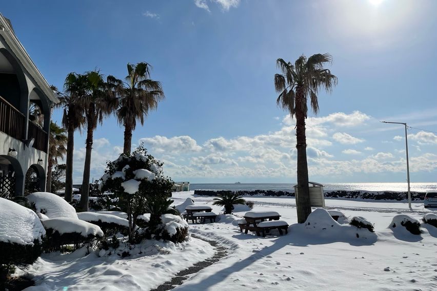 코앞오션뷰 복층형3 3번째 이미지