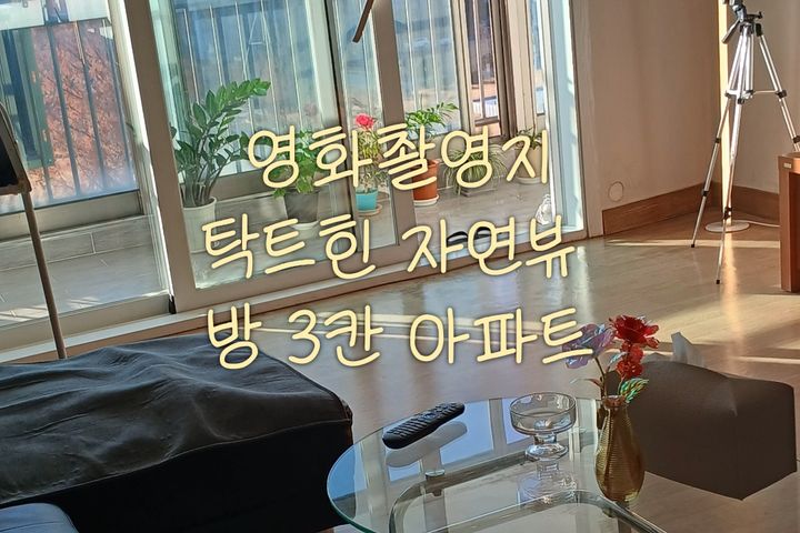 대전 영화촬영지 숲힐링 0번째 이미지