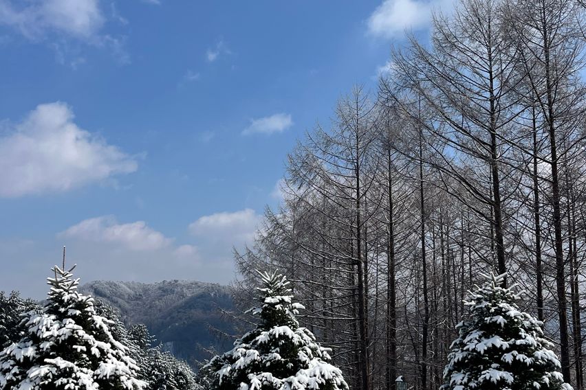 산정상 38평 숲속독채 0번째 이미지