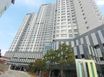 자라섬 남이섬 16번째 이미지