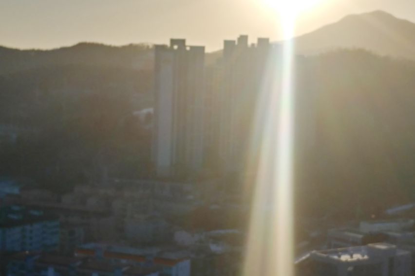 자라섬 남이섬 18번째 이미지