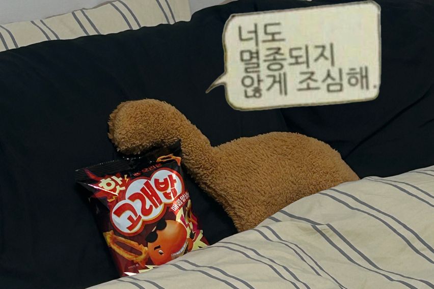 🏠유럽감성주택 마포유영 13번째 이미지