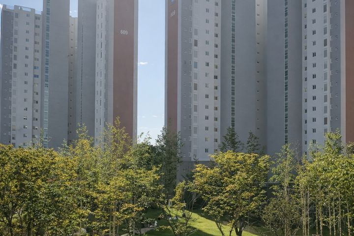 풀옵션신축4룸마운틴뷰 1번째 이미지