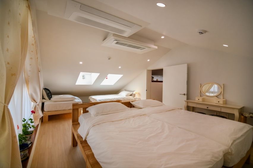 All Live 501 14번째 이미지