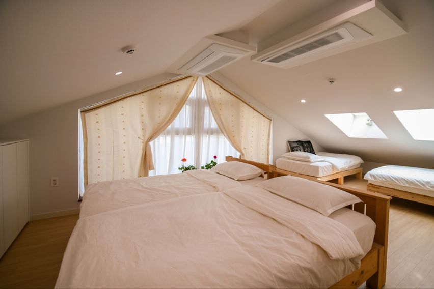 All Live 501 15번째 이미지