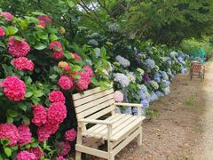 Seungbongdo Lime Garden (Sea View) 1th image