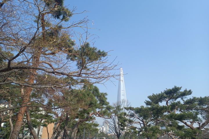 잠실 석촌 소나무공원뷰 3번째 이미지