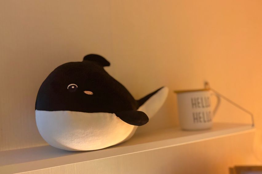 역삼동포근한분리형원룸😌 12번째 이미지