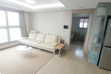 자라섬 남이섬