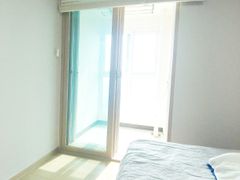 자라섬 남이섬 4번째 이미지