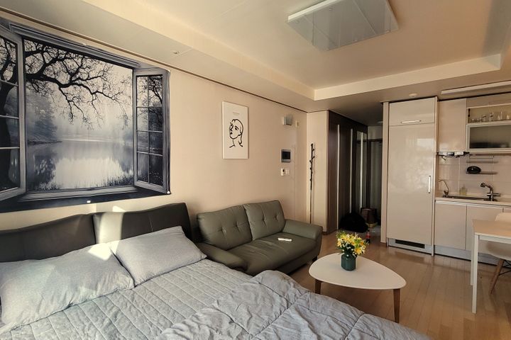 Fully furnished unit near Seolleung Station ( 4th image