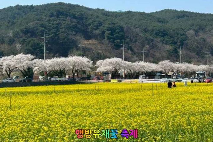 봄빛맹방스테이32평3룸 16번째 이미지