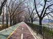 송정 포레스트, 세종대 17번째 이미지