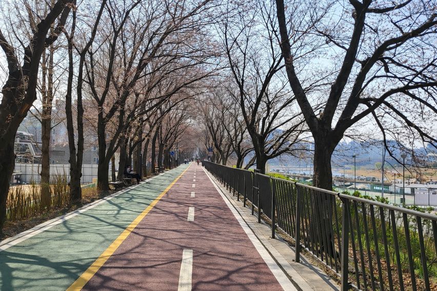 송정 포레스트, 세종대 17번째 이미지