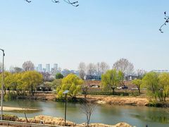 Songjeong Forest, Sejong University 18th image