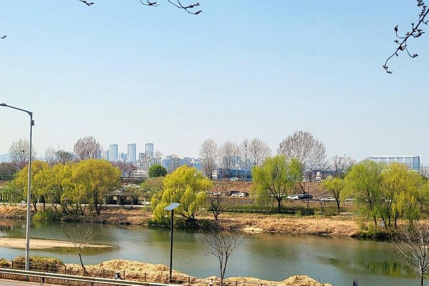 송정 포레스트, 세종대 18번째 이미지