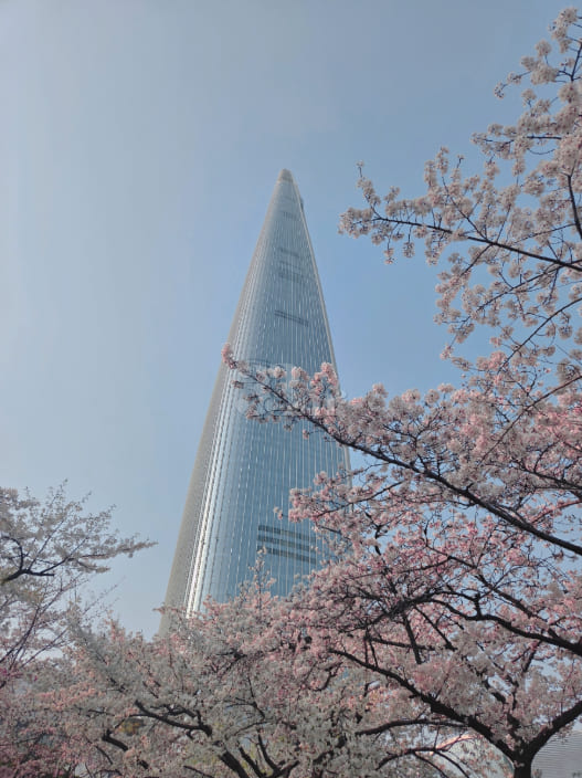 Jamsil, Seokchon Station, Seokchon Lake 1 8th image