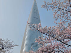 Jamsil, Seokchon Station, Seokchon Lake 1 8th image