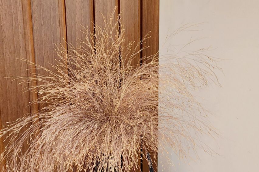 🧡시흥대야🧡특올수리3룸 19번째 이미지