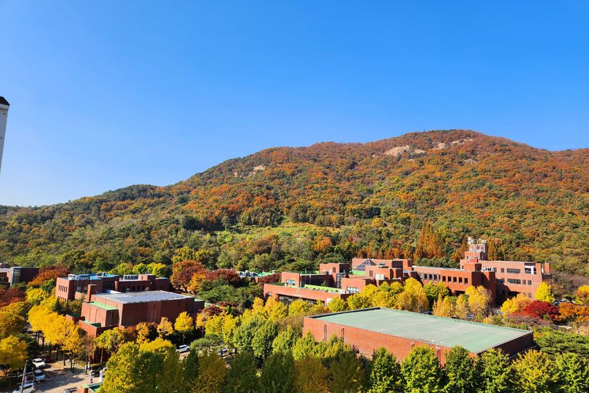 🧡시흥대야🧡특올수리3룸 5번째 이미지