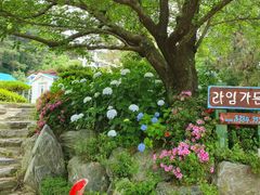 Seungbongdo Lime Garden (Sea View) 16th image