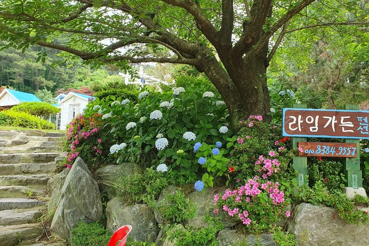 Seungbongdo Lime Garden (Sea View) 16th image