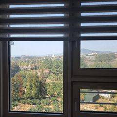 제주도 푸른 밤 방 이미지