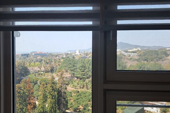 제주도 푸른 밤 0번째 이미지