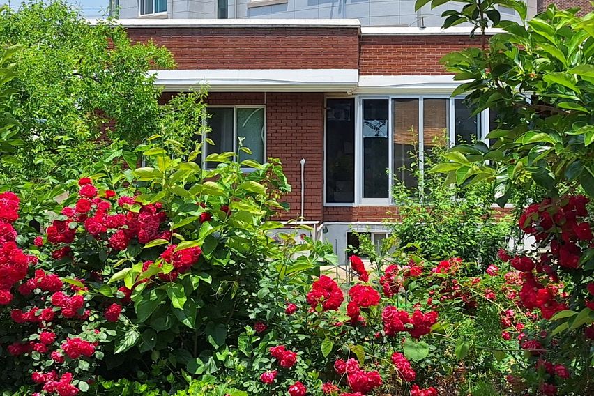 텃밭과 함께하는  힐링 0번째 이미지