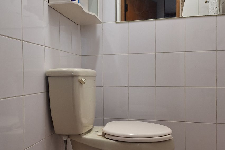 텃밭과 함께하는  힐링 5번째 이미지