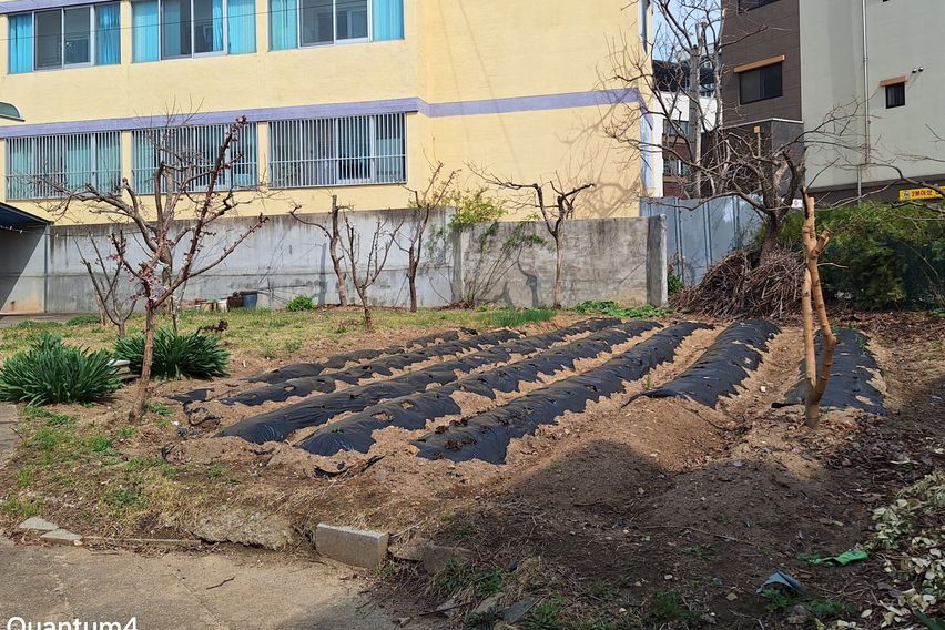 텃밭과 함께하는  힐링 12번째 이미지