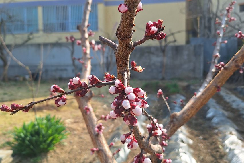 텃밭과 함께하는  힐링 19번째 이미지