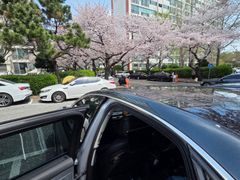 광안리 삼익비치아파트 0번째 이미지