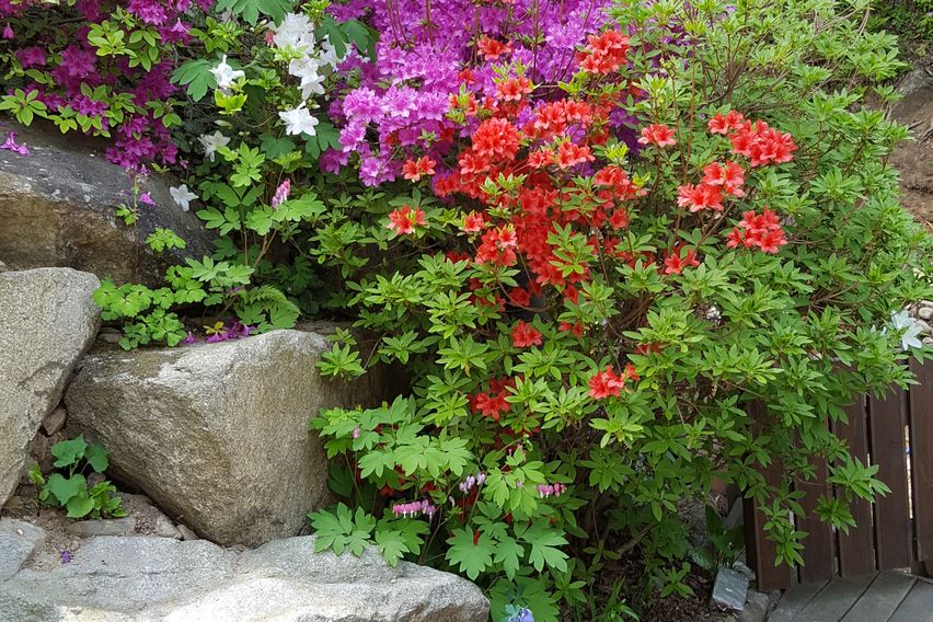 계곡 품은 집 (독채) 1번째 이미지