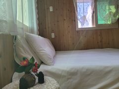 제주 동쪽 우측 유채꽃 3번째 이미지
