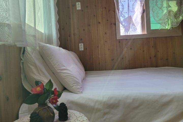 제주 동쪽 우측 유채꽃 3번째 이미지