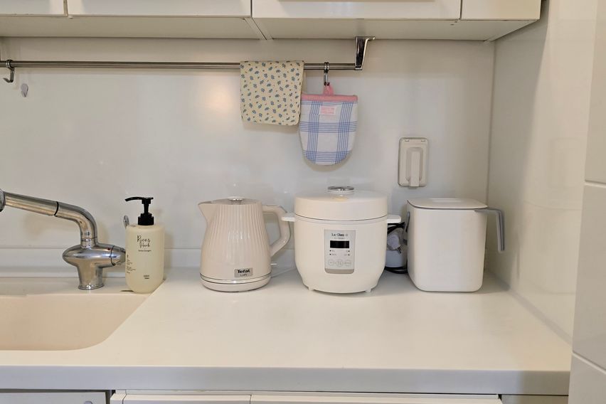 국회의사당여의도역여의도 11번째 이미지