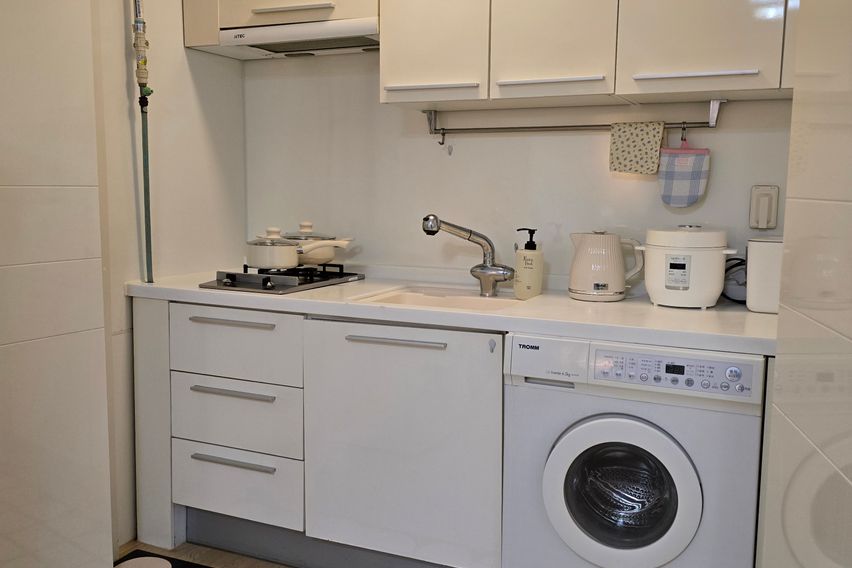 국회의사당여의도역여의도 10번째 이미지