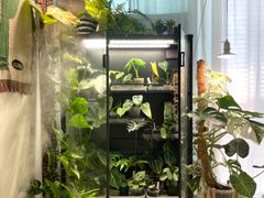 🌿주차/반려동물/4인 4번째 이미지