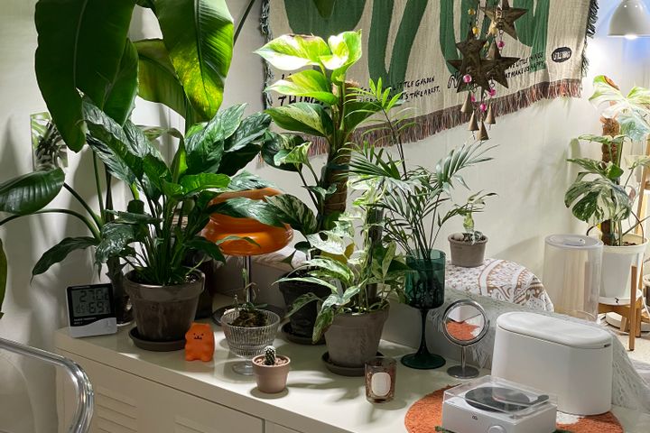 🌿주차/반려동물/4인 7번째 이미지