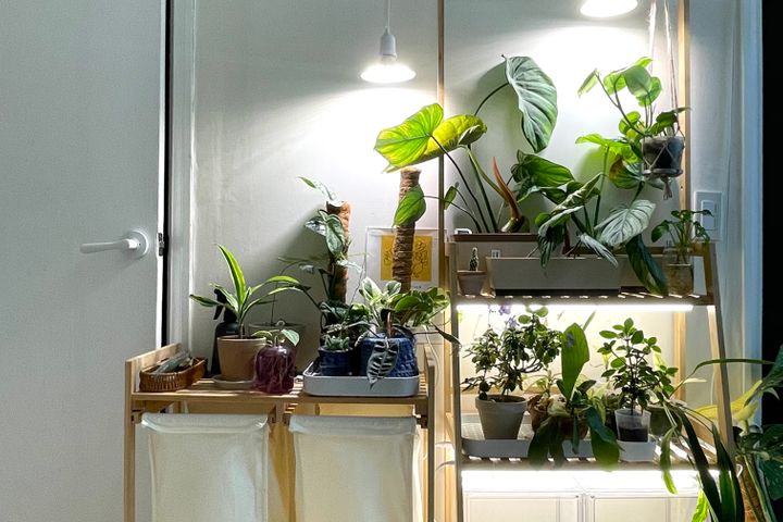 🌿주차/반려동물/4인 5번째 이미지