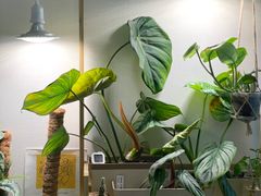 🌿주차/반려동물/4인 6번째 이미지