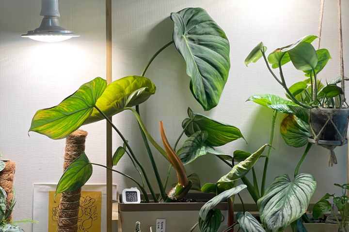 🌿주차/반려동물/4인 6번째 이미지