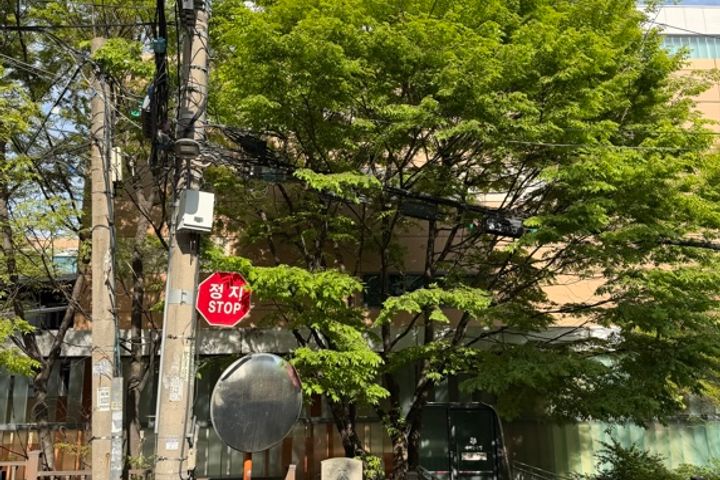 Haus of Mori 17번째 이미지